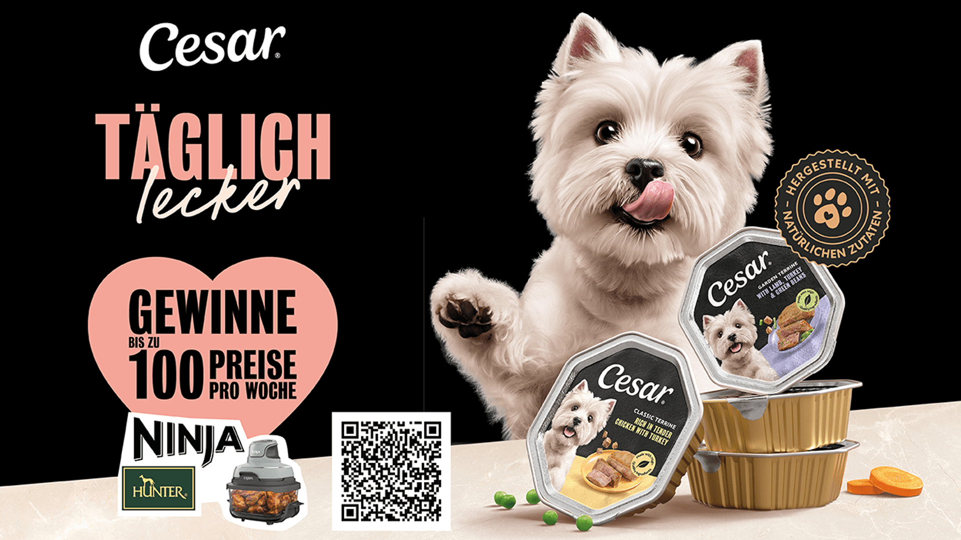 CESAR Gewinnspiel – Gewinne Hunter- und Ninja-Preise