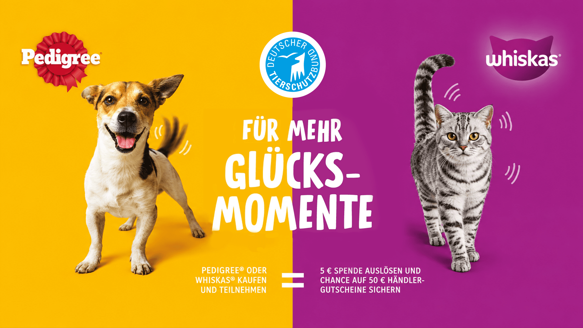 PEDIGREE und WHISKAS Gewinnspiel - Einkaufsgutscheine gewinnen