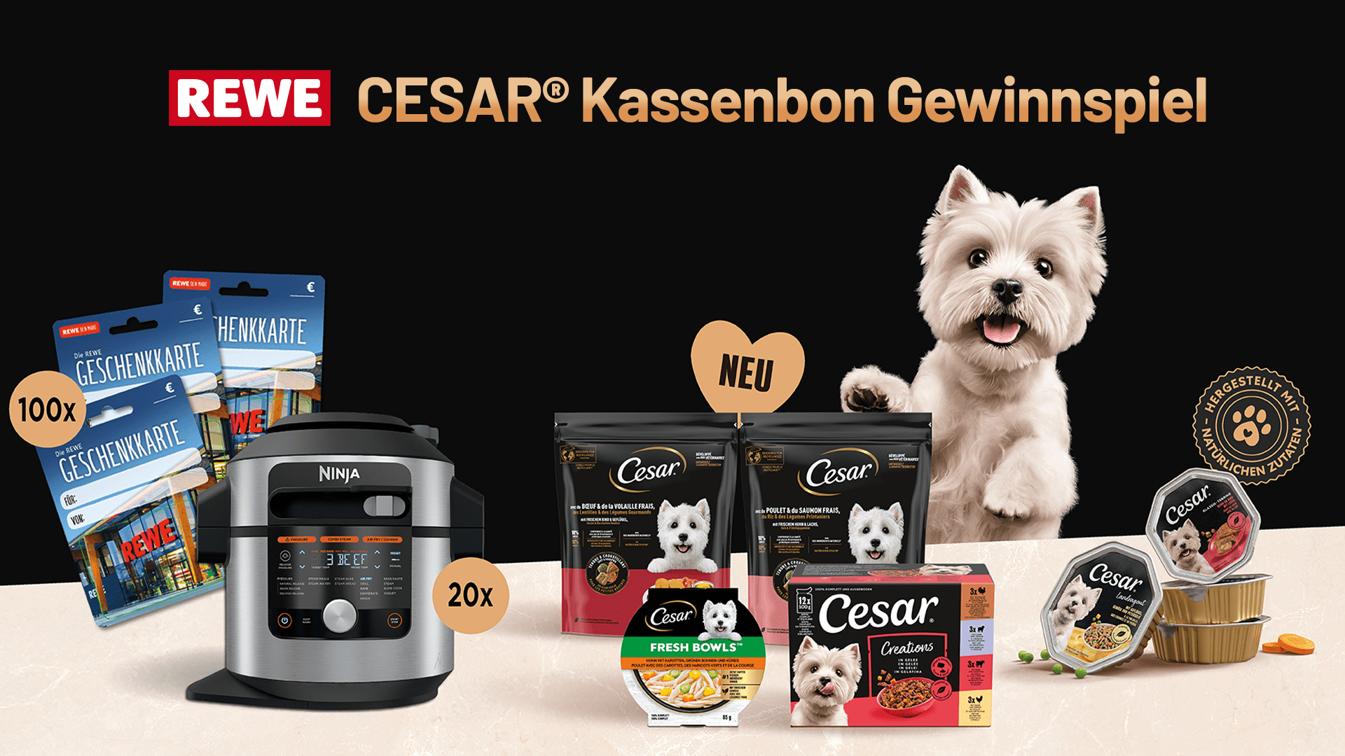 Cesar Gewinnspiel bei REWE - Ninja Multikocher & Einkaufsgutscheine gewinnen